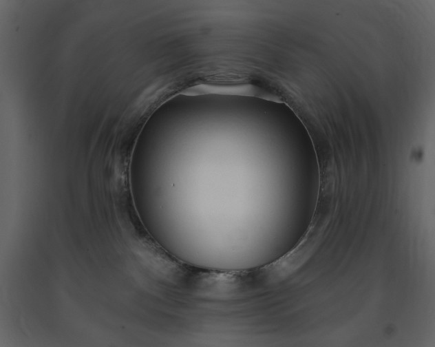 X0000091230140200708231703