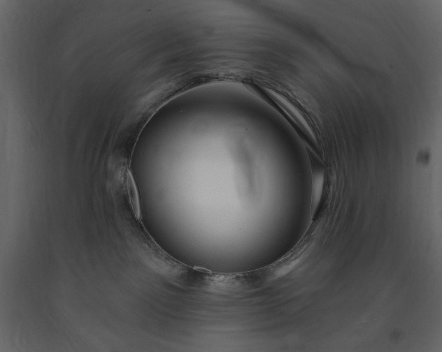 X0000091230141200708231703