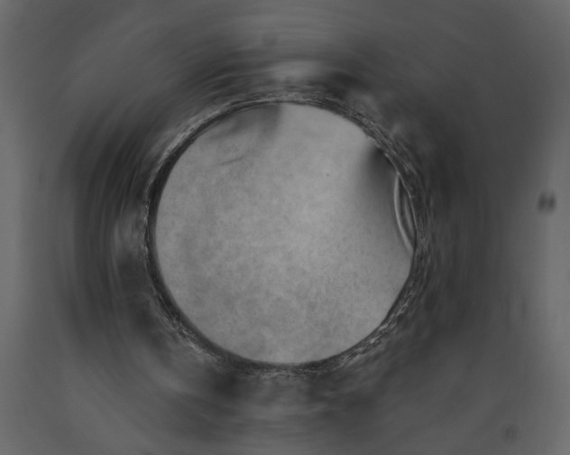 X0000091230146200708231702