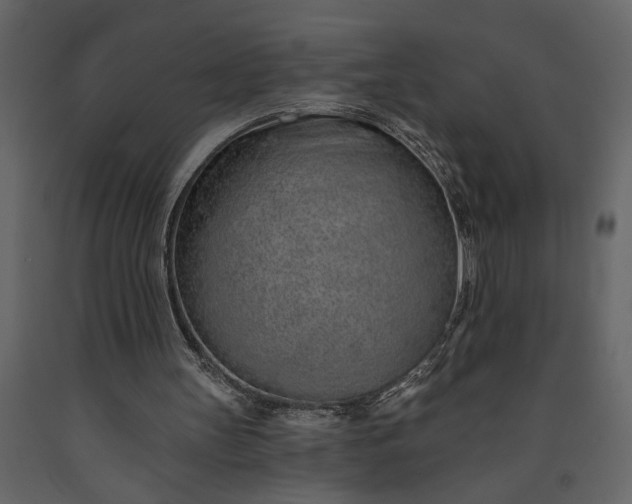 X0000091230147200708231702