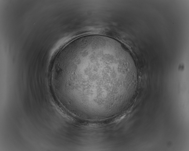 X0000091230149200708231702