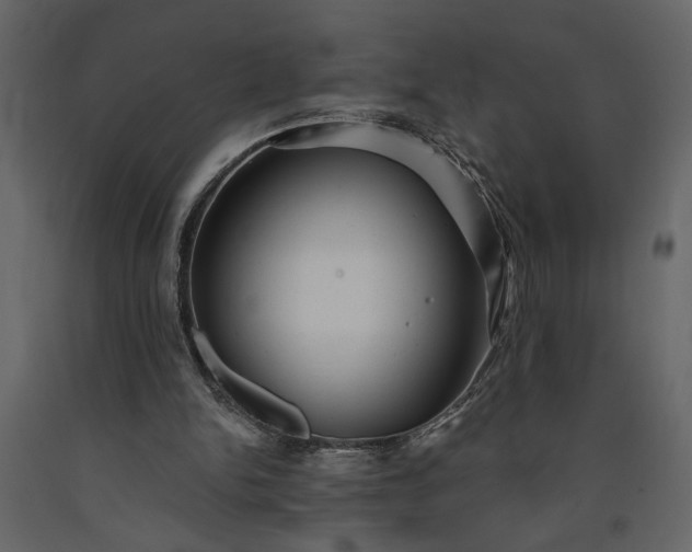 X0000091230150200708231702