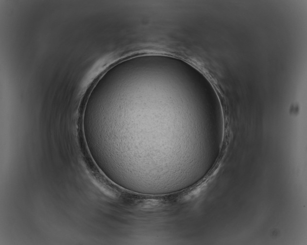 X0000091230151200708231702