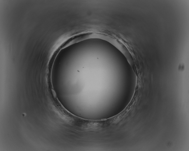 X0000091230152200708231702