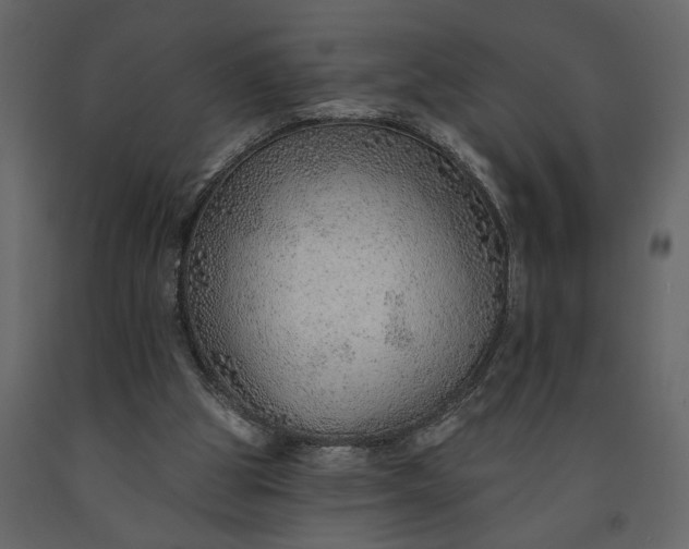 X0000091230153200708231702