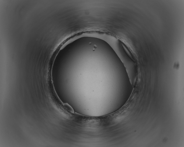 X0000091230156200708231702