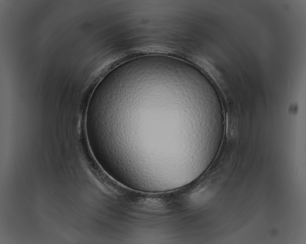 X0000091230157200708231702