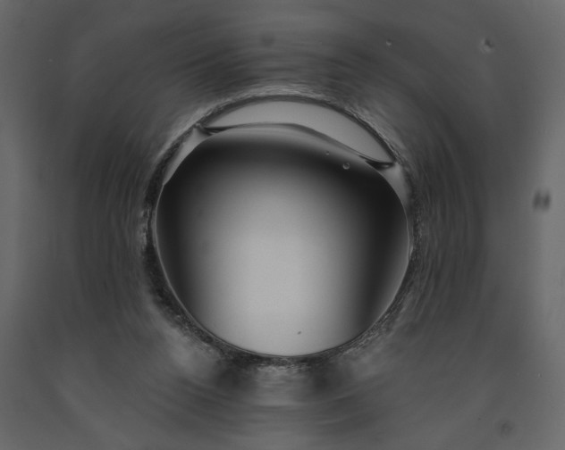 X0000091230160200708231702