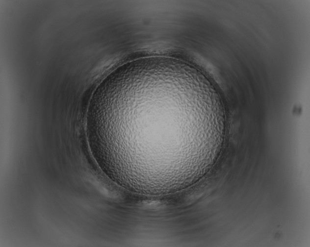 X0000091230161200708231702