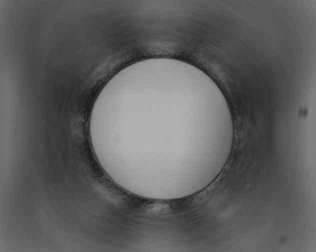 X0000091230162200708231702