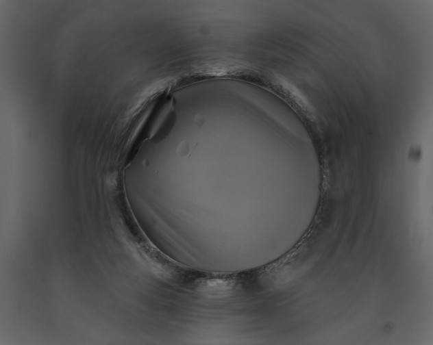 X0000091230163200708231702