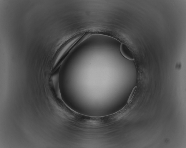 X0000091230164200708231702