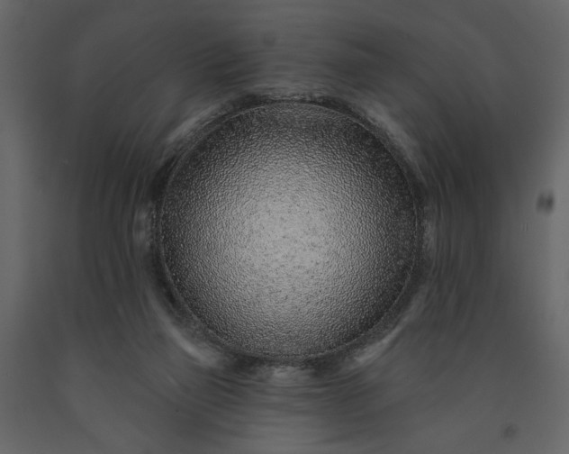 X0000091230165200708231702