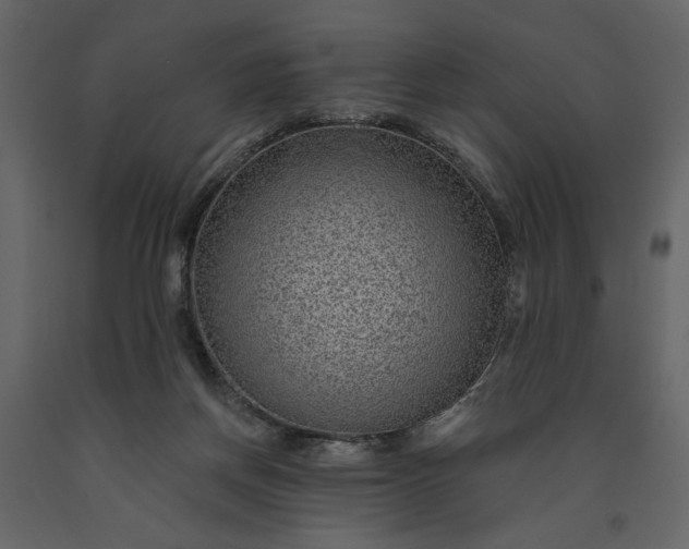 X0000091230166200708231702