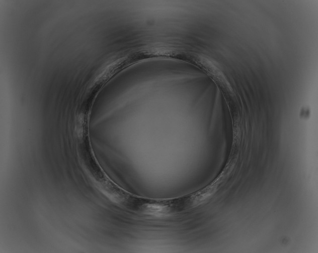 X0000091230167200708231702