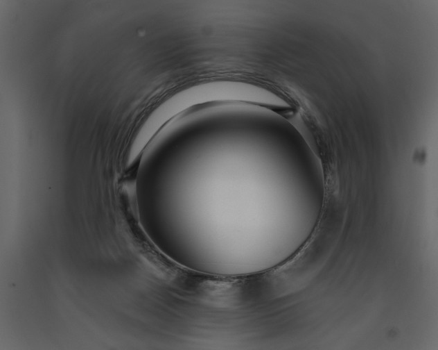 X0000091230170200708231702