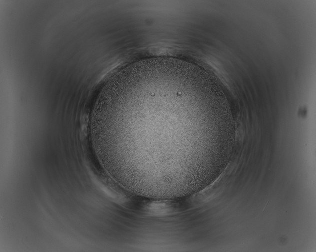 X0000091230171200708231702