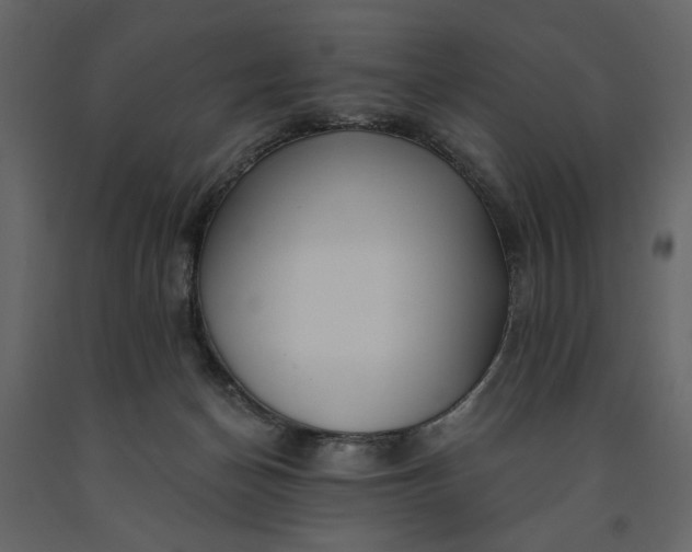 X0000091230174200708231702