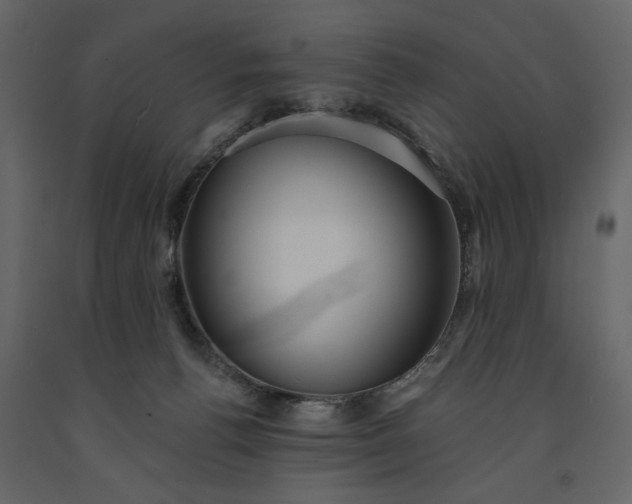 X0000091230176200708231702