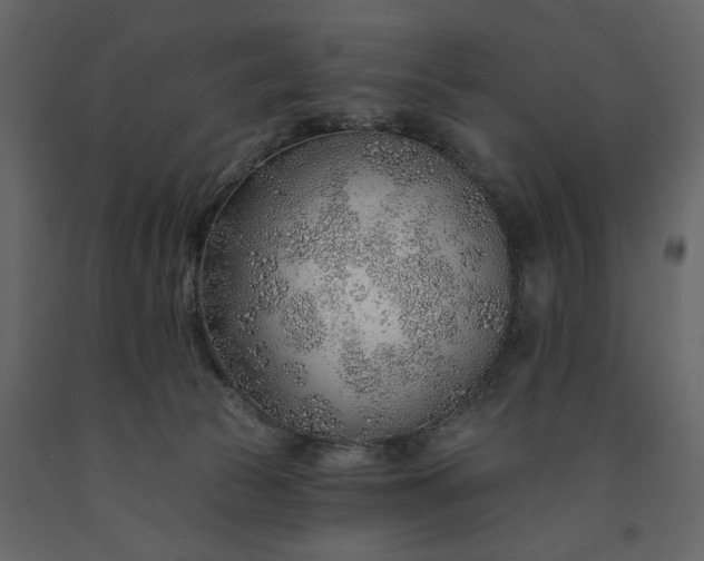 X0000091230177200708231702