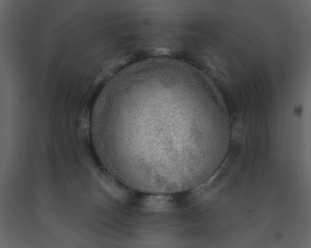 X0000091230179200708231702