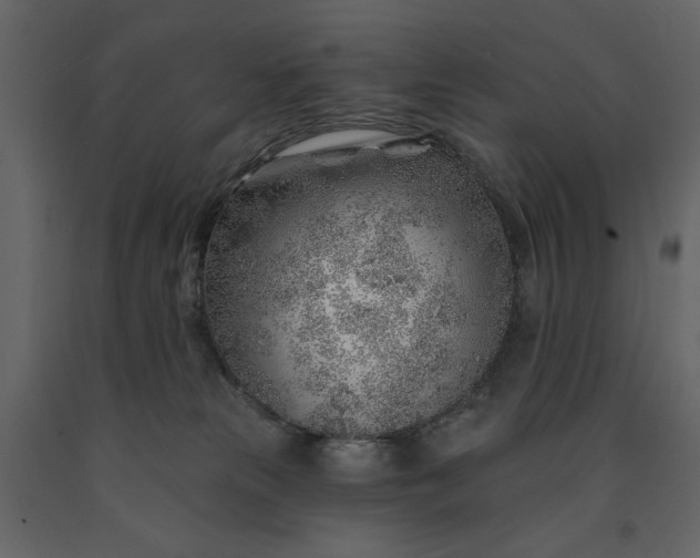 X0000091230181200708231702