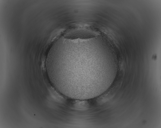 X0000091230185200708231703