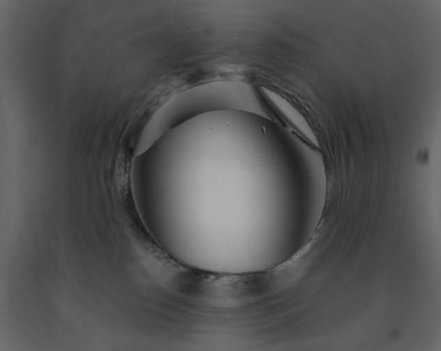 X0000091230186200708231703