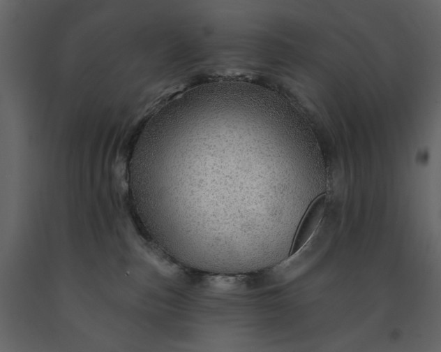 X0000091230187200708231703