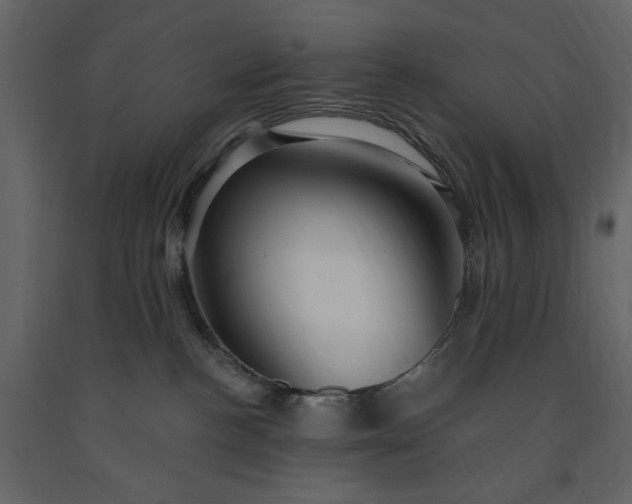 X0000091230188200708231703