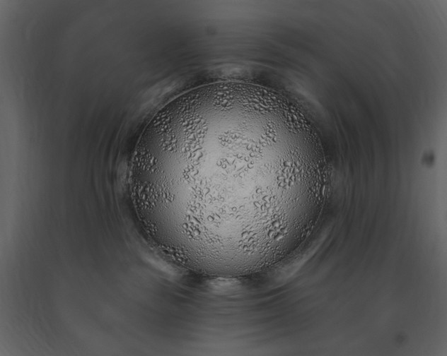 X0000091230189200708231703