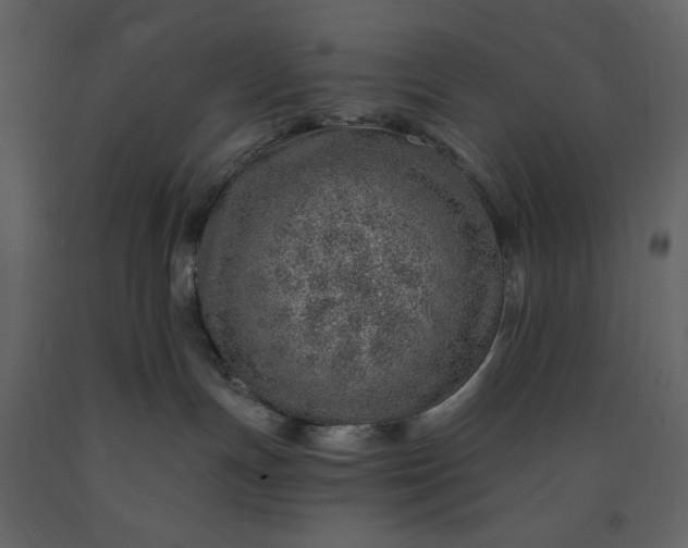X0000091230191200708231703