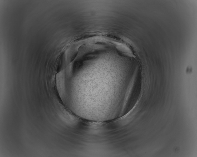 X0000091230192200708231703