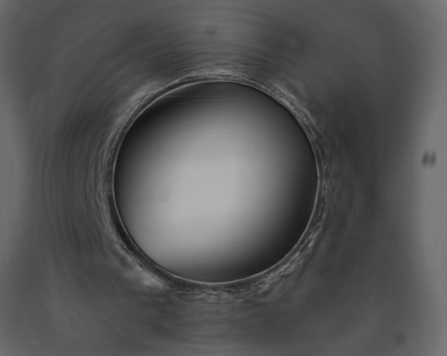 X0000091230193200708231702