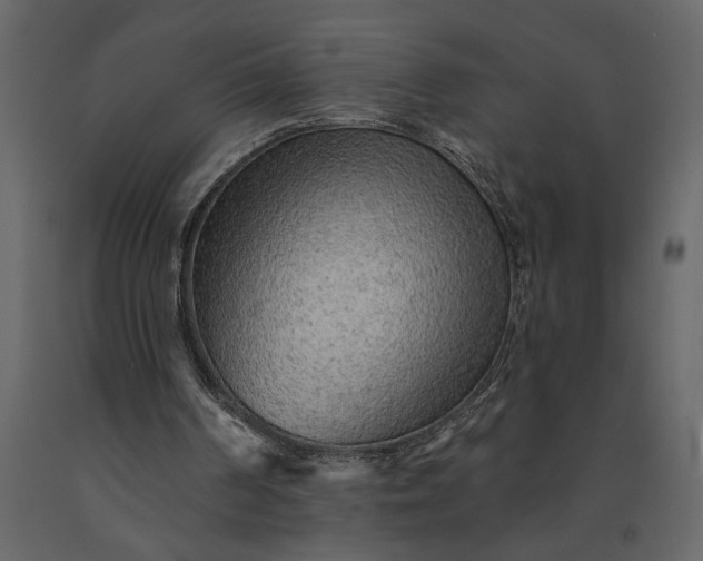 X0000091230194200708231702