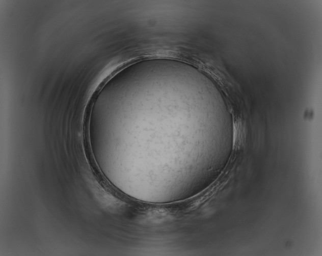 X0000091230195200708231702