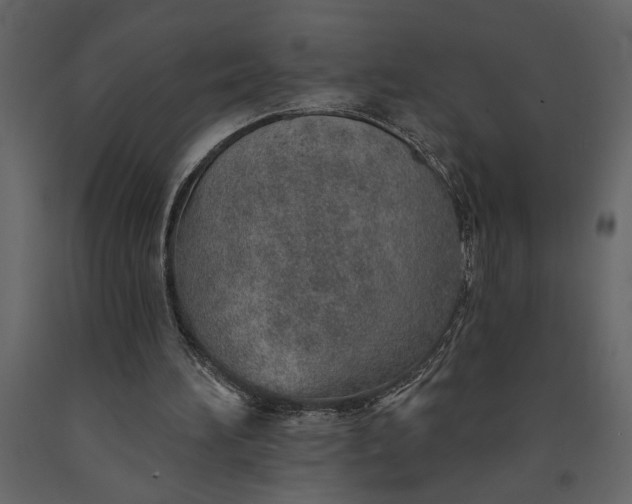 X0000091230196200708231702