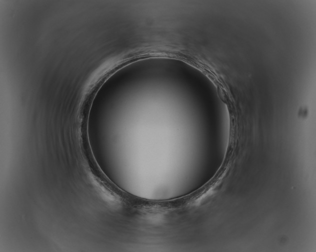 X0000091230197200708231702