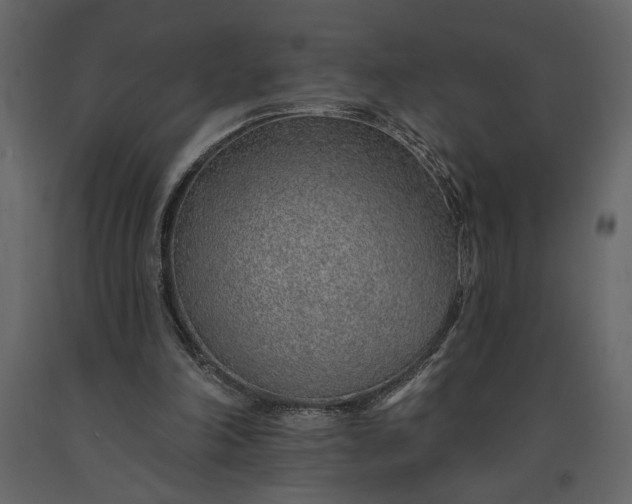 X0000091230198200708231702