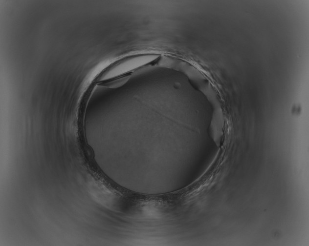 X0000091230200200708231702