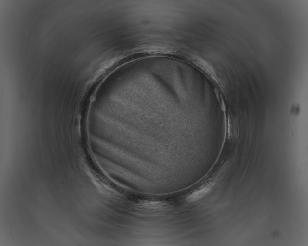 X0000091230205200708231702