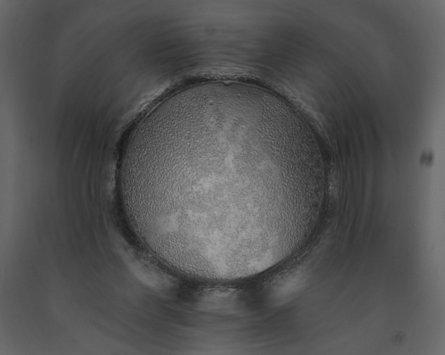 X0000091230206200708231702