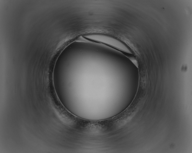 X0000091230207200708231702