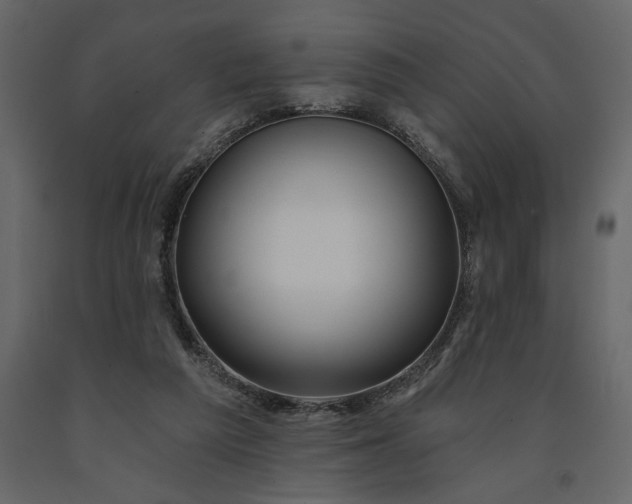 X0000091230209200708231702