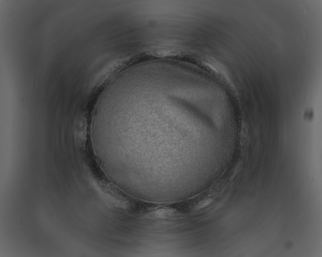 X0000091230210200708231702
