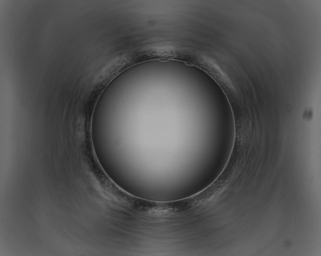 X0000091230213200708231702