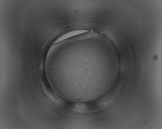 X0000091230214200708231702