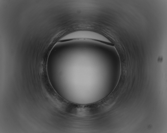X0000091230216200708231702