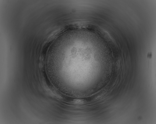 X0000091230218200708231702