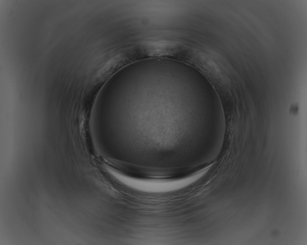 X0000091230219200708231702